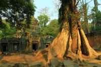 Ta Prohm &ndash; &copy; Denise Hartmann (Eberhardt TRAVEL)