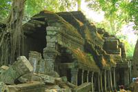 Ta Prohm &ndash; &copy; Denise Hartmann (Eberhardt TRAVEL)