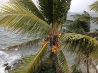 Colombo &ndash; &copy; Sabine Letzybyll (Eberhardt TRAVEL)