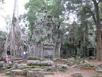 Der Urwaldtempel &ndash; &copy; Johanna Vogt (Eberhardt TRAVEL)
