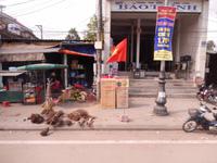 Besen Vietnam &ndash; &copy; Laura Schwanitz (Eberhardt TRAVEL)