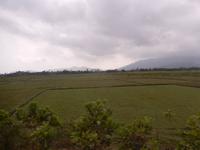 Felder Vietnam &ndash; &copy; Laura Schwanitz (Eberhardt TRAVEL)