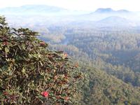 Horton Plains &ndash; &copy; Linda Hartge (Eberhardt TRAVEL)
