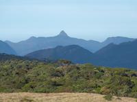 Horton Plains &ndash; &copy; Linda Hartge (Eberhardt TRAVEL)