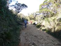 Horton Plains &ndash; &copy; Linda Hartge (Eberhardt TRAVEL)