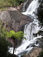 Horton Plains &ndash; &copy; Linda Hartge (Eberhardt TRAVEL)
