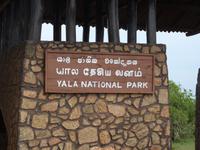 Safari im Yale-Nationalpark &ndash; &copy; Linda Hartge (Eberhardt TRAVEL)