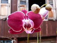 194. Inle Lake, Myanmar &ndash; &copy; Maria Michel (Eberhardt TRAVEL)