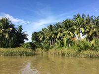244  Hoi An &ndash; &copy; Ngoc Anh Nguyen (Eberhardt TRAVEL)