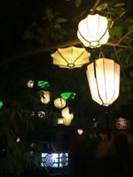 265 Hoi An &ndash; &copy; Ngoc Anh Nguyen (Eberhardt TRAVEL)
