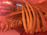 Waltempel Vung Tau &ndash; &copy; Ngoc Anh Nguyen (Eberhardt TRAVEL)