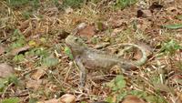 im Hotel Cinnamon Wild &ndash; &copy; Frank Nimschowski (Eberhardt TRAVEL)
