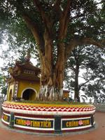 Pagode Hanoi &ndash; &copy; Christina Schwarz (Eberhardt TRAVEL)