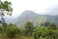 Ella Rock &ndash; &copy; Susanne Schirmann (Eberhardt TRAVEL)