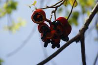 Kandy &ndash; &copy; Susanne Schirmann (Eberhardt TRAVEL)