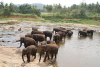 Ein Bad in der Menge &ndash; &copy; Susanne Schirmann (Eberhardt TRAVEL)