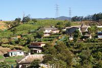 Hochland Sri Lanka &ndash; &copy; Susanne Schirmann (Eberhardt TRAVEL)