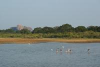 im Yala Park &ndash; &copy; Susanne Schirmann (Eberhardt TRAVEL)