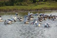 im Yala Park &ndash; &copy; Susanne Schirmann (Eberhardt TRAVEL)