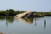 im Yala Park &ndash; &copy; Susanne Schirmann (Eberhardt TRAVEL)