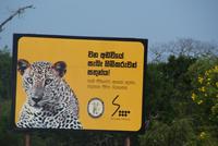 Yala Park &ndash; &copy; Susanne Schirmann (Eberhardt TRAVEL)
