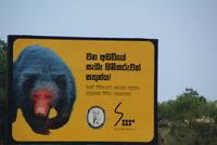 Yala Park &ndash; &copy; Susanne Schirmann (Eberhardt TRAVEL)