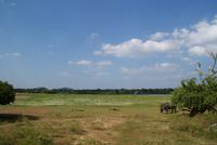 Yala Park &ndash; &copy; Susanne Schirmann (Eberhardt TRAVEL)