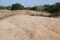 Yala Park &ndash; &copy; Susanne Schirmann (Eberhardt TRAVEL)