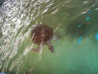 Ozeanisches Museum Nha Trang &ndash; &copy; Madlen Lippe (Eberhardt TRAVEL)