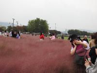 Südkorea &ndash; &copy; Sabine Letzybyll (Eberhardt TRAVEL)