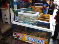 Busan Südkorea &ndash; &copy; Sabine Letzybyll (Eberhardt TRAVEL)