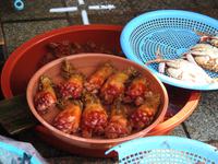 Seescheide Fischmarkt Busan Südkorea &ndash; &copy; Sabine Letzybyll (Eberhardt TRAVEL)