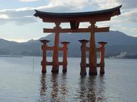 Torii Japan &ndash; &copy; Sabine Letzybyll (Eberhardt TRAVEL)