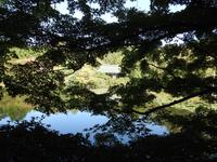 Ryoanji  &ndash; &copy; Sabine Letzybyll (Eberhardt TRAVEL)