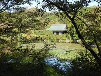 Ryoanji  &ndash; &copy; Sabine Letzybyll (Eberhardt TRAVEL)