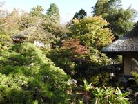 Kyoto  &ndash; &copy; Sabine Letzybyll (Eberhardt TRAVEL)