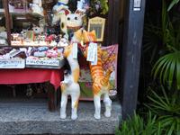 Kyoto  &ndash; &copy; Sabine Letzybyll (Eberhardt TRAVEL)