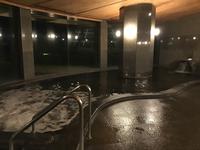Hilton Odawara Japan &ndash; &copy; Sabine Letzybyll (Eberhardt TRAVEL)