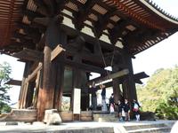 Nara Japan &ndash; &copy; Sabine Letzybyll (Eberhardt TRAVEL)