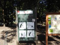Nara Japan &ndash; &copy; Sabine Letzybyll (Eberhardt TRAVEL)