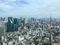 Tokio &ndash; &copy; Sabine Letzybyll (Eberhardt TRAVEL)