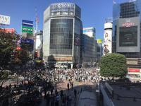 Tokio &ndash; &copy; Sabine Letzybyll (Eberhardt TRAVEL)