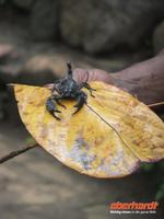 &copy; Elisa Müller (Eberhardt TRAVEL)