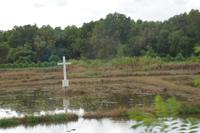 20 Fahrt nach Dambulla &ndash; &copy; Maria Schneider (Eberhardt TRAVEL)