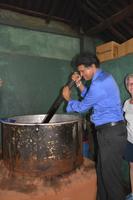 104 Gewürzgarten Matale &ndash; &copy; Maria Schneider (Eberhardt TRAVEL)