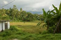 108 Fahrt nach Kandy &ndash; &copy; Maria Schneider (Eberhardt TRAVEL)