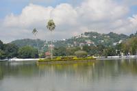 113 Kandy &ndash; &copy; Maria Schneider (Eberhardt TRAVEL)