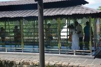 131 Zahntempel in Kandy &ndash; &copy; Maria Schneider (Eberhardt TRAVEL)