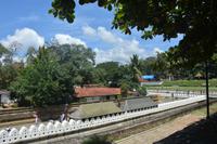 136 Zahntempel in Kandy &ndash; &copy; Maria Schneider (Eberhardt TRAVEL)