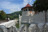 137 Zahntempel in Kandy &ndash; &copy; Maria Schneider (Eberhardt TRAVEL)